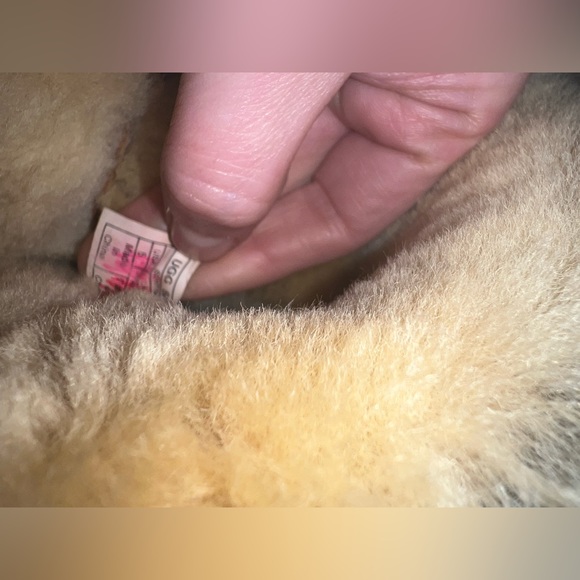 Ugg Bailey Button Boots Size 5 - Picture 7 of 7